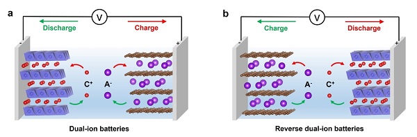 纪秀磊&陆俊JACS：ZnCl2电解液构建反向双离子电池