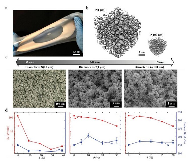 美国卡内基-梅隆大学卡梅尔-马杰迪教授Advanced Materials：液态金属-弹性体纳米复合材料用于可拉伸的介电材料