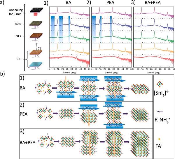 ACS Energy Lett.：开发高效稳定的Sn基2DRP钙钛矿太阳能电池