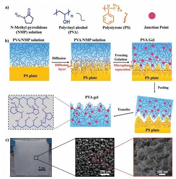 北航刘明杰教授&刘克松教授AM：扩散-冷冻诱导的微相分离用于大面积制备具有多尺度结构的水凝胶表面