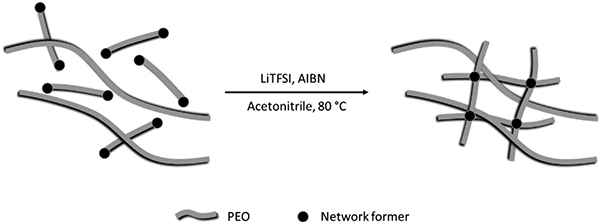 AFM: 用于高电压锂金属电池的PEO基聚合物电解质