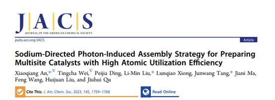 JACS：不再孤单的单原子：金钠离子对与光重构纳米簇