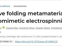 同济大学吴彤研究员团队 变革百年电纺技术，创建激光诱导仿生方法，实现折叠电子超材料的突破，成果发表于PNAS