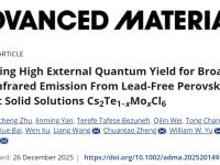 山大王亮、于伟泳和中南大学肖泽文等最新AM：实现高外量子产率无铅钙钛矿的宽带近红外发射